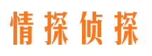 汉寿市侦探调查公司